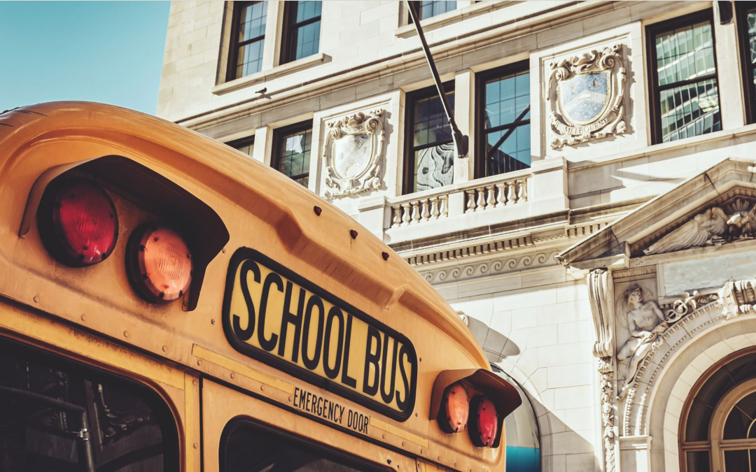 The Bus Tickets Battle: The Great Transport Fiasco